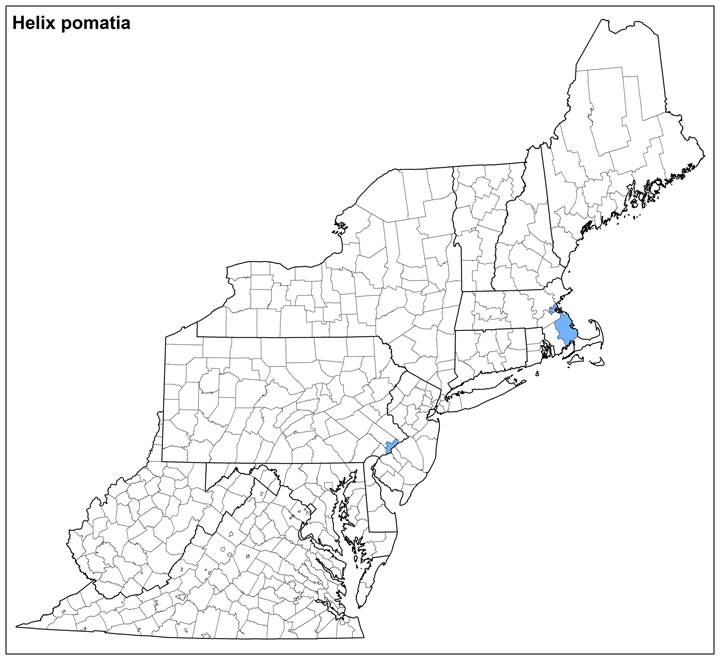 Helix pomatia Range Map